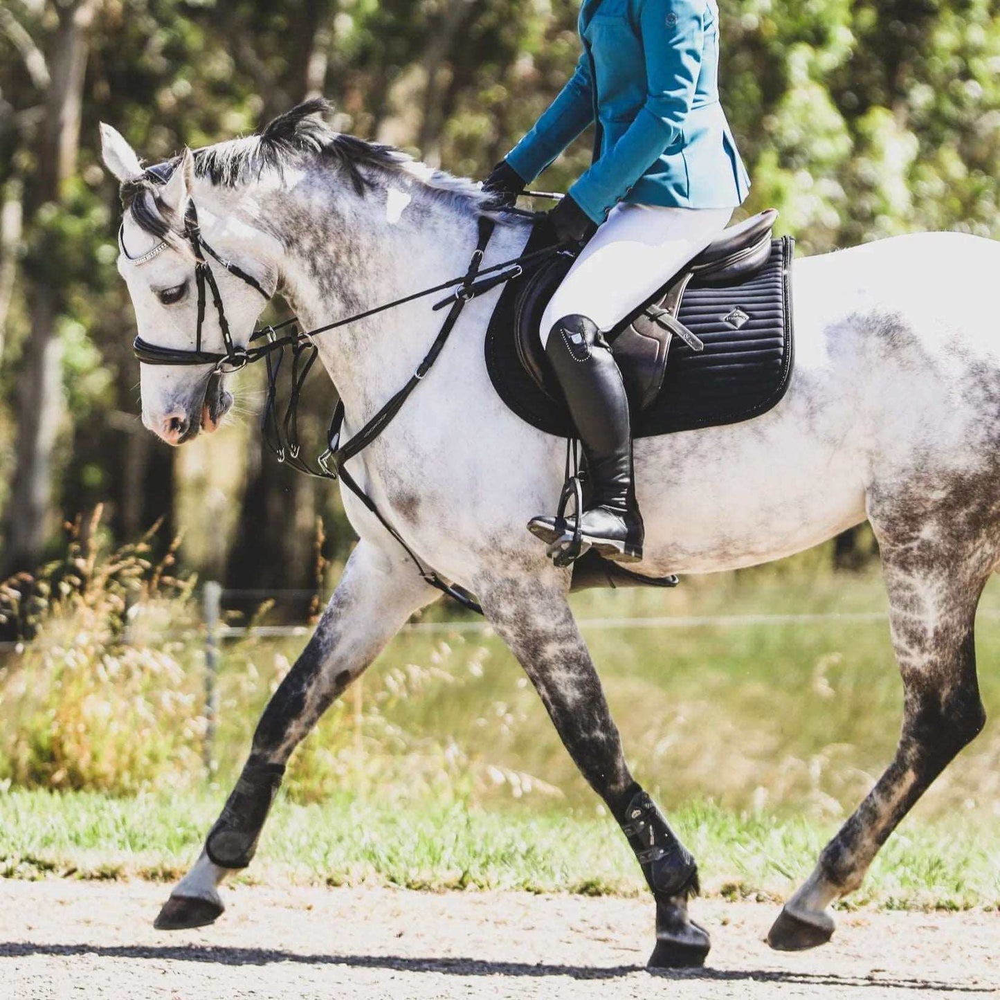 Victory 3 Point Breastplate