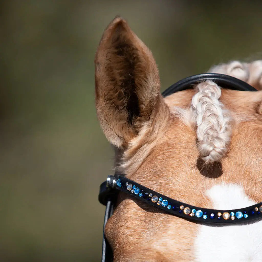 Close-up of a horse's ear and braided mane featuring the Demi Hanoverian bridle with a blue crystal browband.