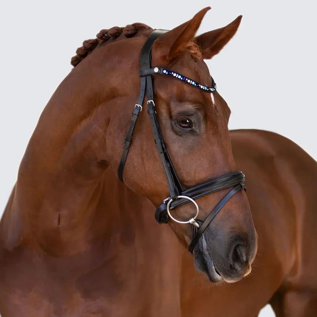 Demi Hanoverian bridle showcasing elegant blue browband and classic noseband, complementing a stunning horse.