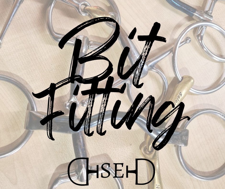 Online Bit Fit Consult