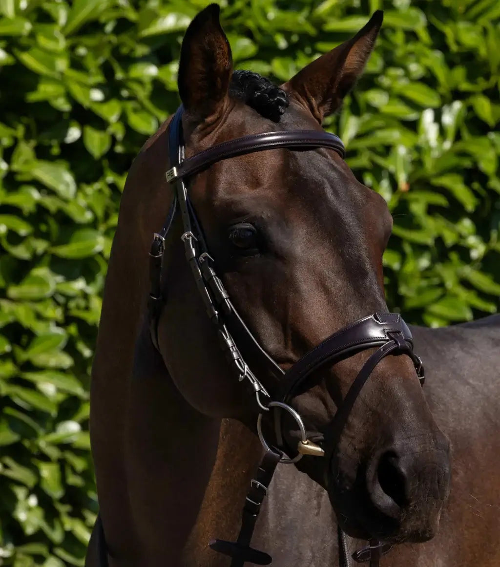 Close-up of a horse wearing the PE Artana Anatomical Snaffle Bridle against a lush, green background.