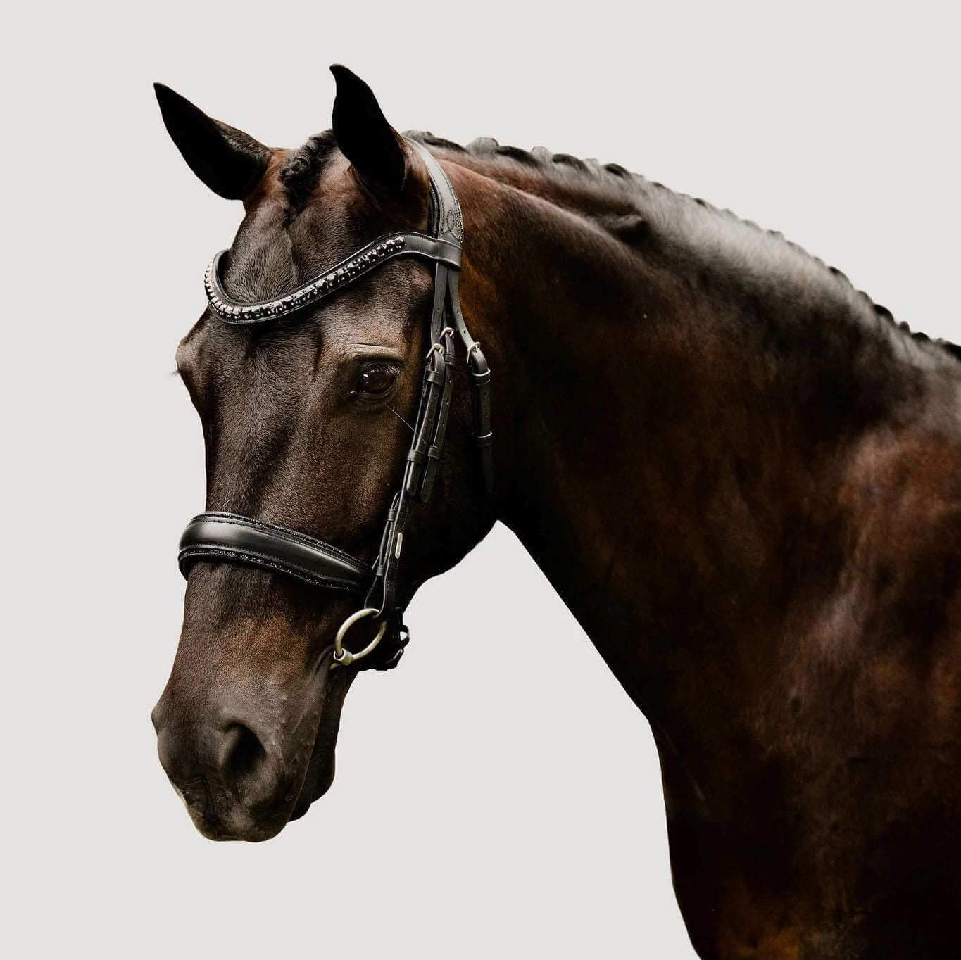 'Arcadia' Italian Leather Bridle