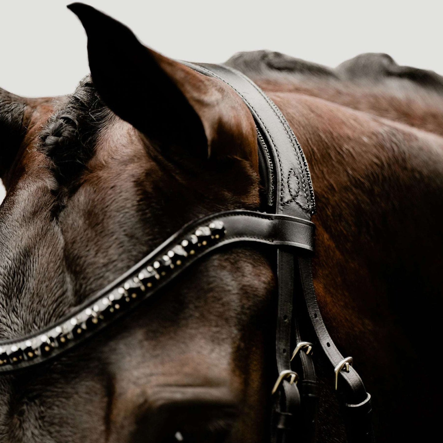 'Arcadia' Italian Leather Bridle