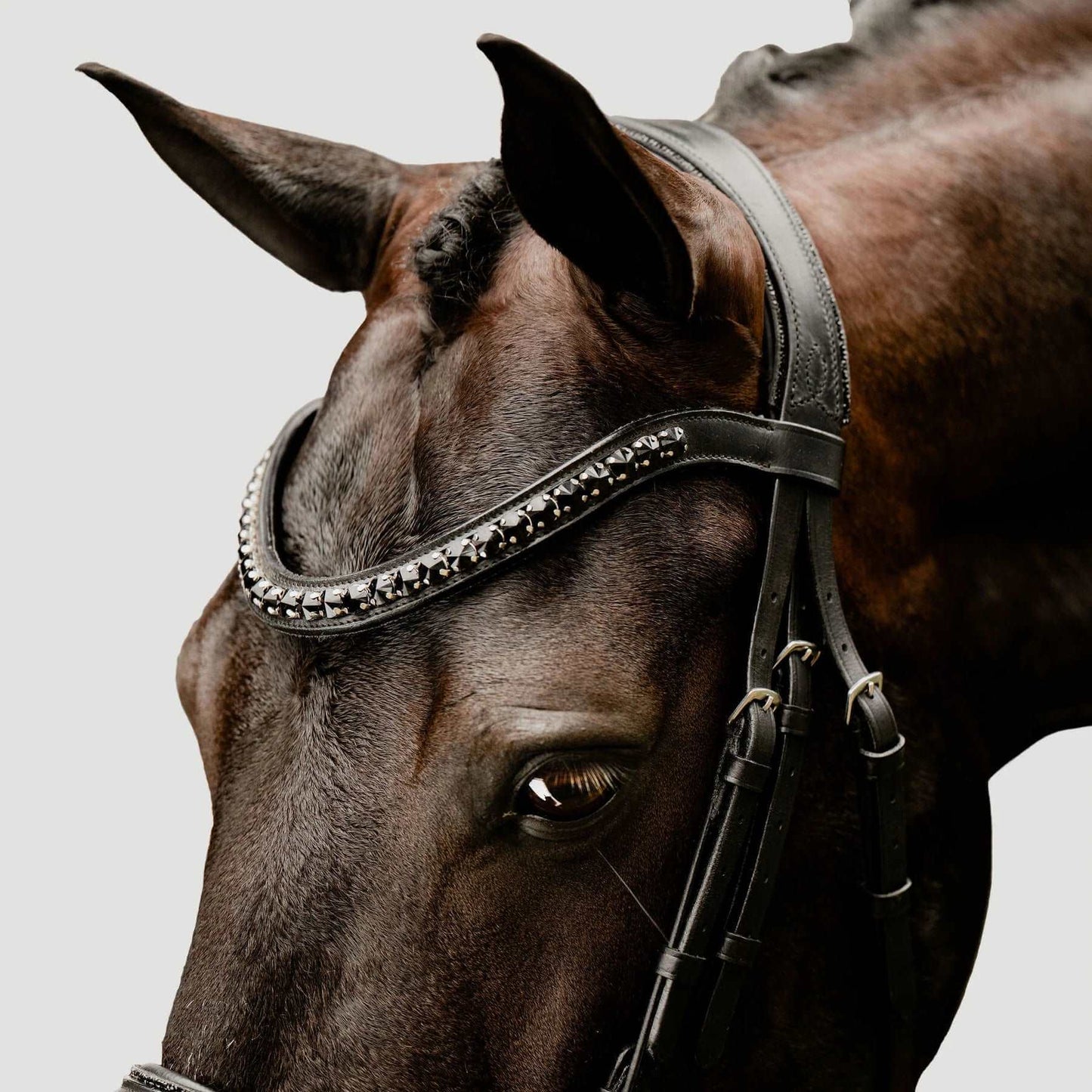 'Arcadia' Italian Leather Bridle