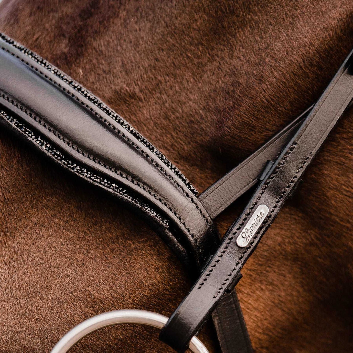 'Arcadia' Italian Leather Bridle