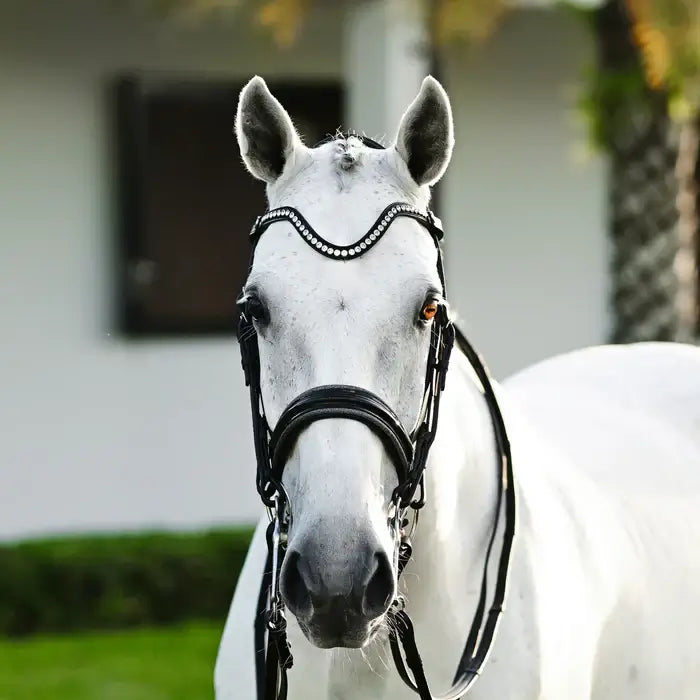 Elegant white horse wearing Saphira double bridle with crystal browband and glossy patent noseband.