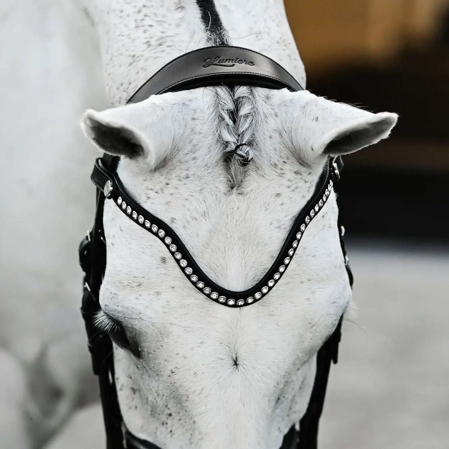 Elegant horse wearing Saphira double bridle with crystal browband and glossy patent noseband.