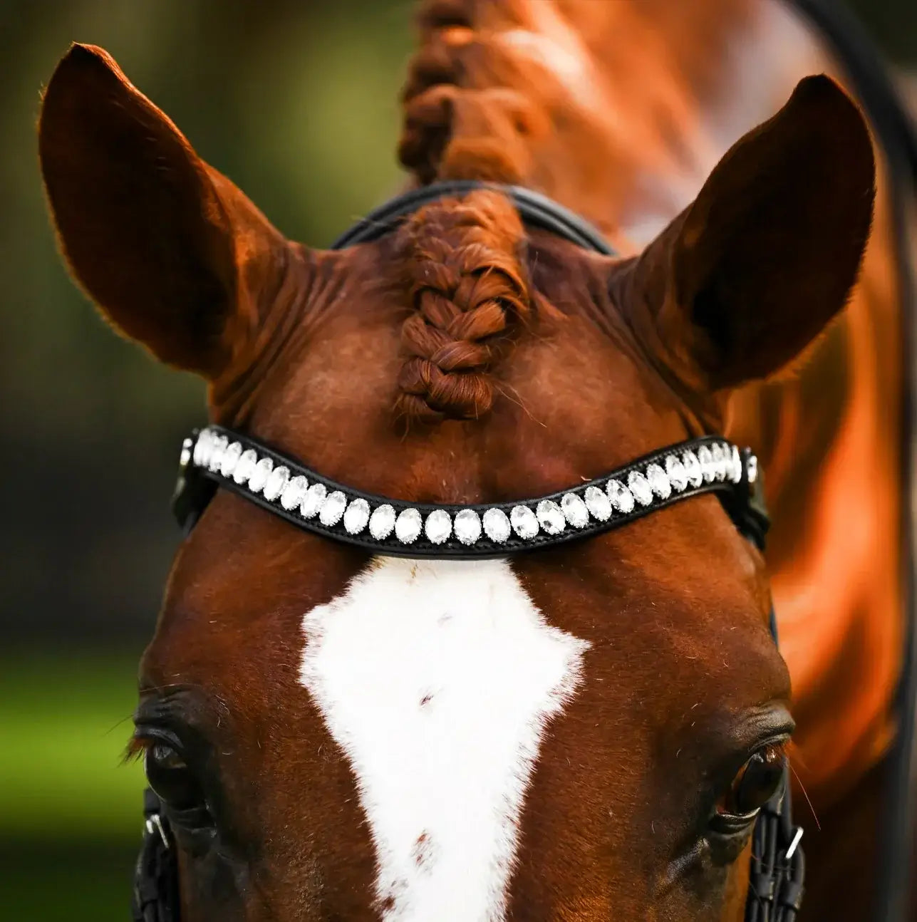 Diva Snaffle Bridle