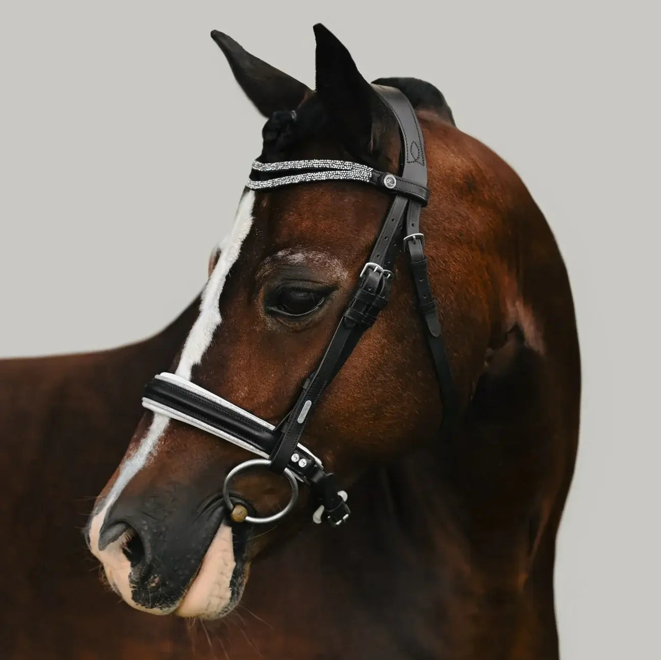 Princess Pony Bridle featuring silver glitter tiara and anatomic design for comfort on a brown pony.