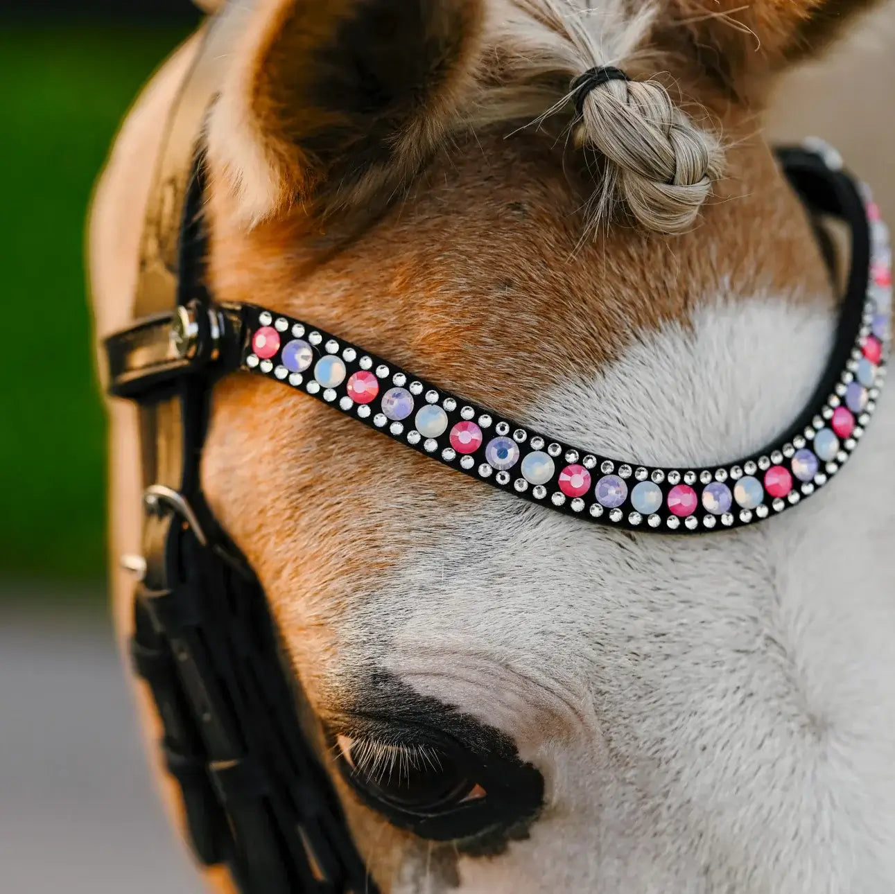 Close-up of a pony's face featuring a vibrant unicorn browband with colorful Austrian stellux crystals.