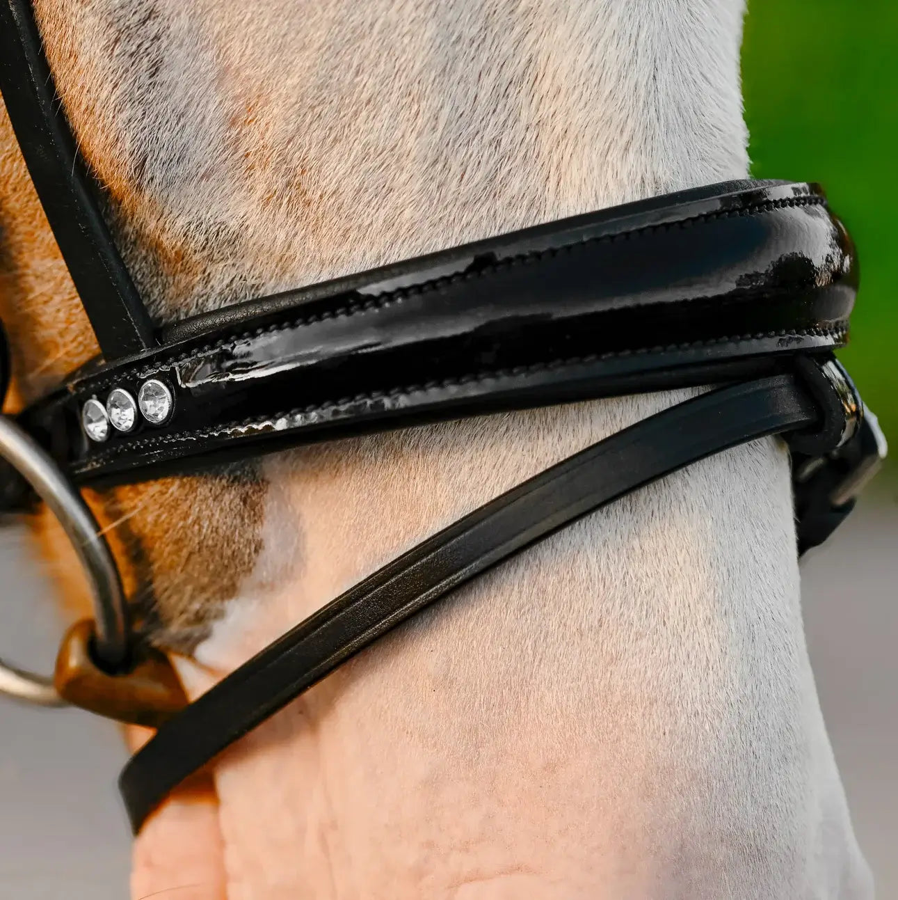 Close-up of a Unicorn Pony bridle featuring a glossy black patent noseband with crystal detailing.