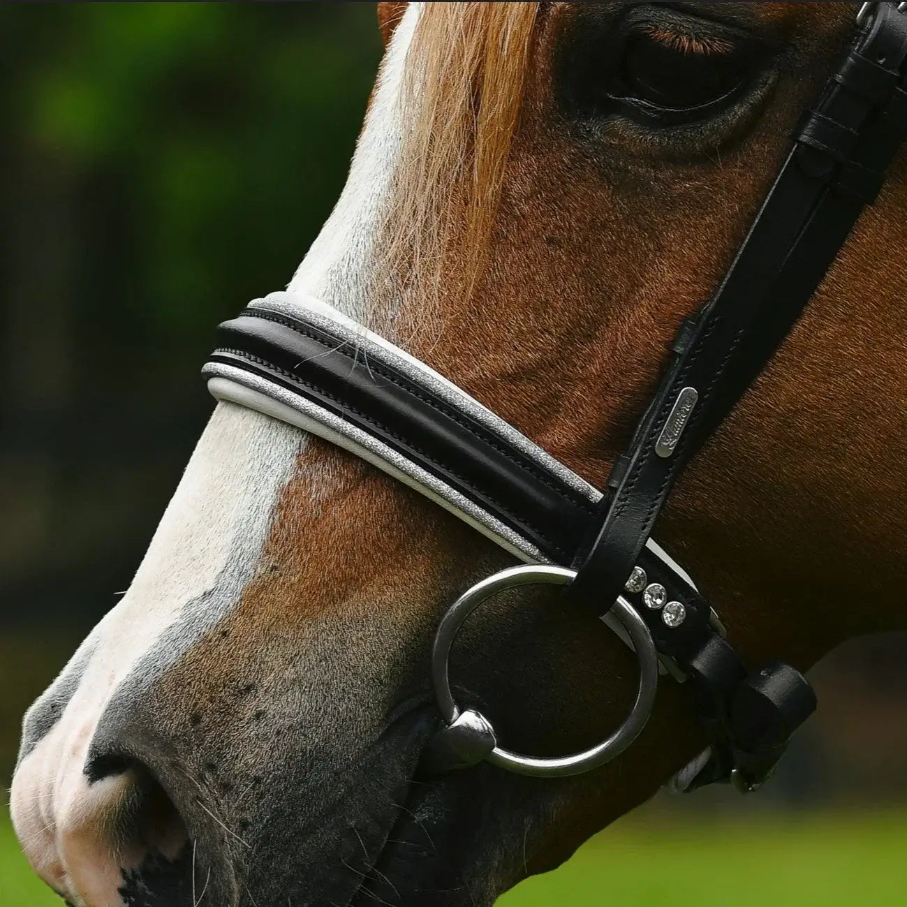 Close-up of a horse wearing the Princess Pony Bridle with silver piping and anatomic design for comfort.