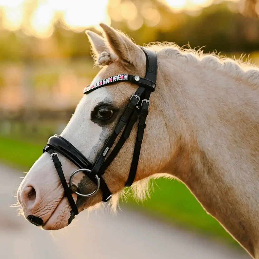 Unicorn pony bridle featuring luminescent pink and purple crystals on a high-shine black patent noseband.