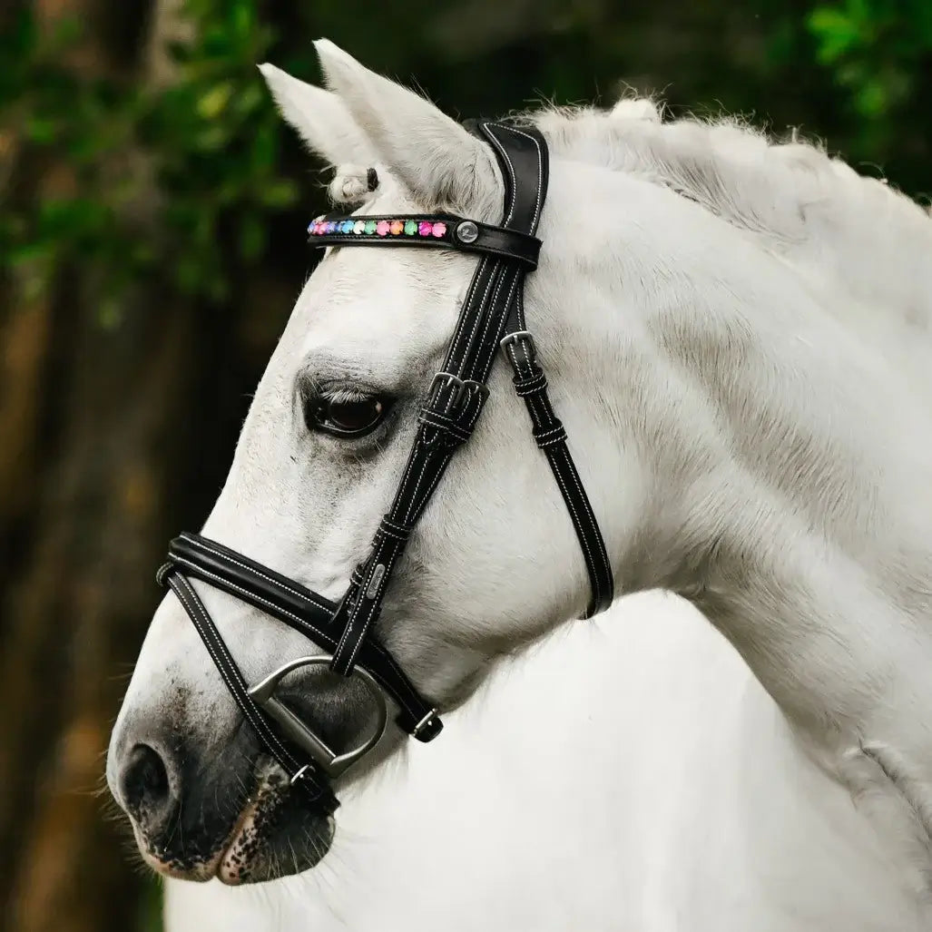 Close-up of a white pony wearing a Rainbow Pony Bridle with a colorful crystal browband, showcasing premium leather and style.