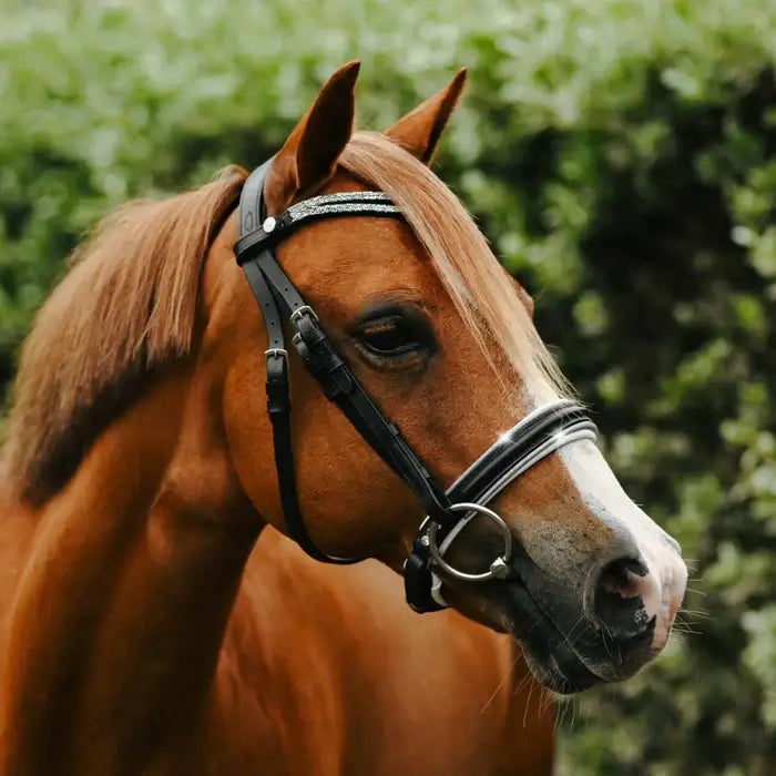 Brown pony wearing Princess Pony Bridle with silver glitter tiara and padded headpiece in a lush green setting.