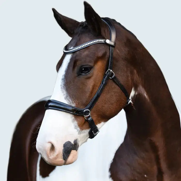 Close-up of a horse wearing a Symphony bitless bridle with glossy patent noseband and crystal browband.
