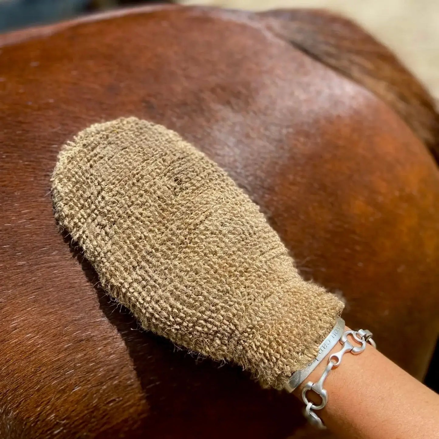 Eco Horse Mighty Mitt in use for gentle grooming and cleaning on a horse's coat.