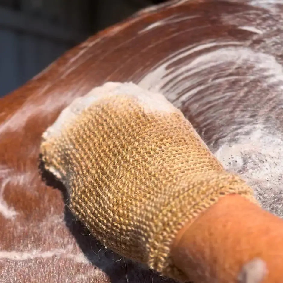 Eco Horse Mighty Mitt cleaning a horse's coat, made from natural fibres for gentle scrubbing and polishing.