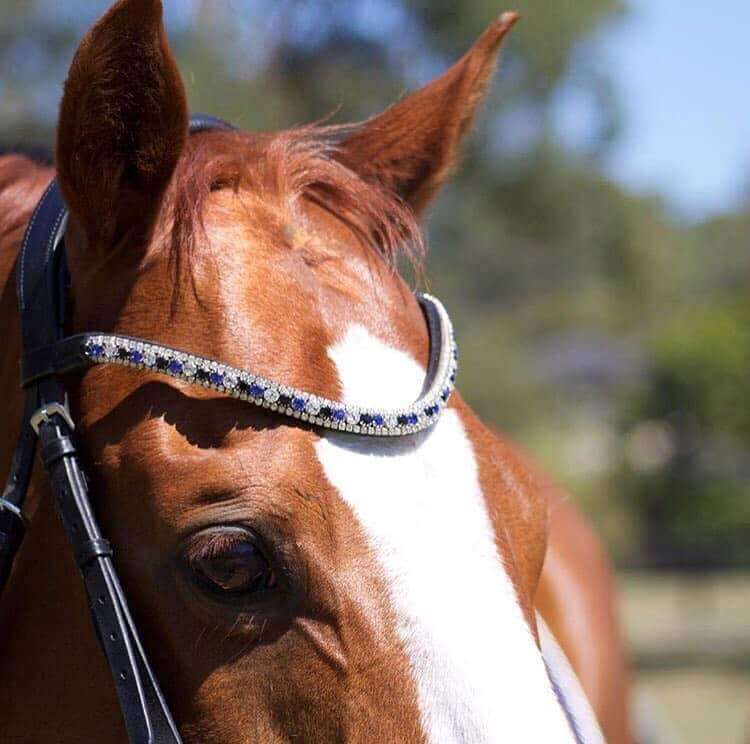 Anastasia Bridle