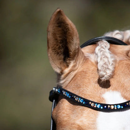 Close-up of a horse's ear and braided mane featuring the Demi Hanoverian bridle with a blue crystal browband.