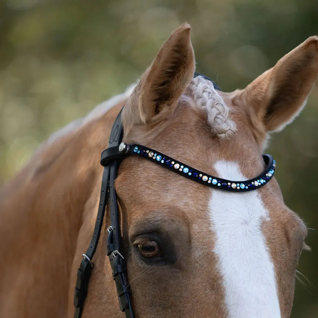 Horse wearing the elegant Demi browband featuring blue Austrian stellux crystals on a suede leather band.