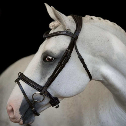 Milan Convertible Bridle