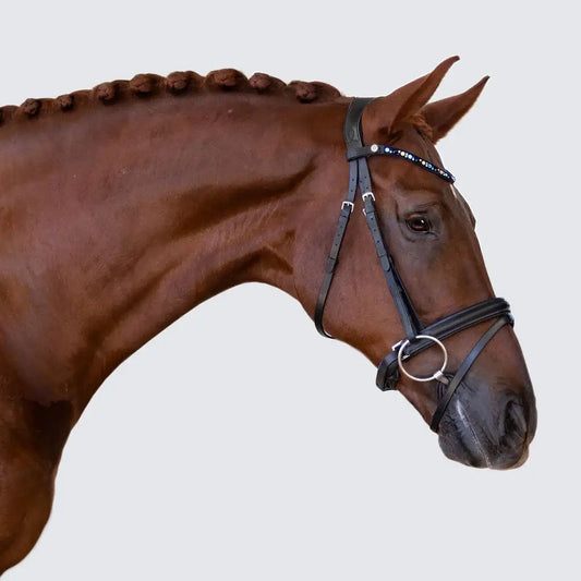 Demi Hanoverian Bridle on a brown horse, showcasing elegant blue browband with Austrian stellux crystals.