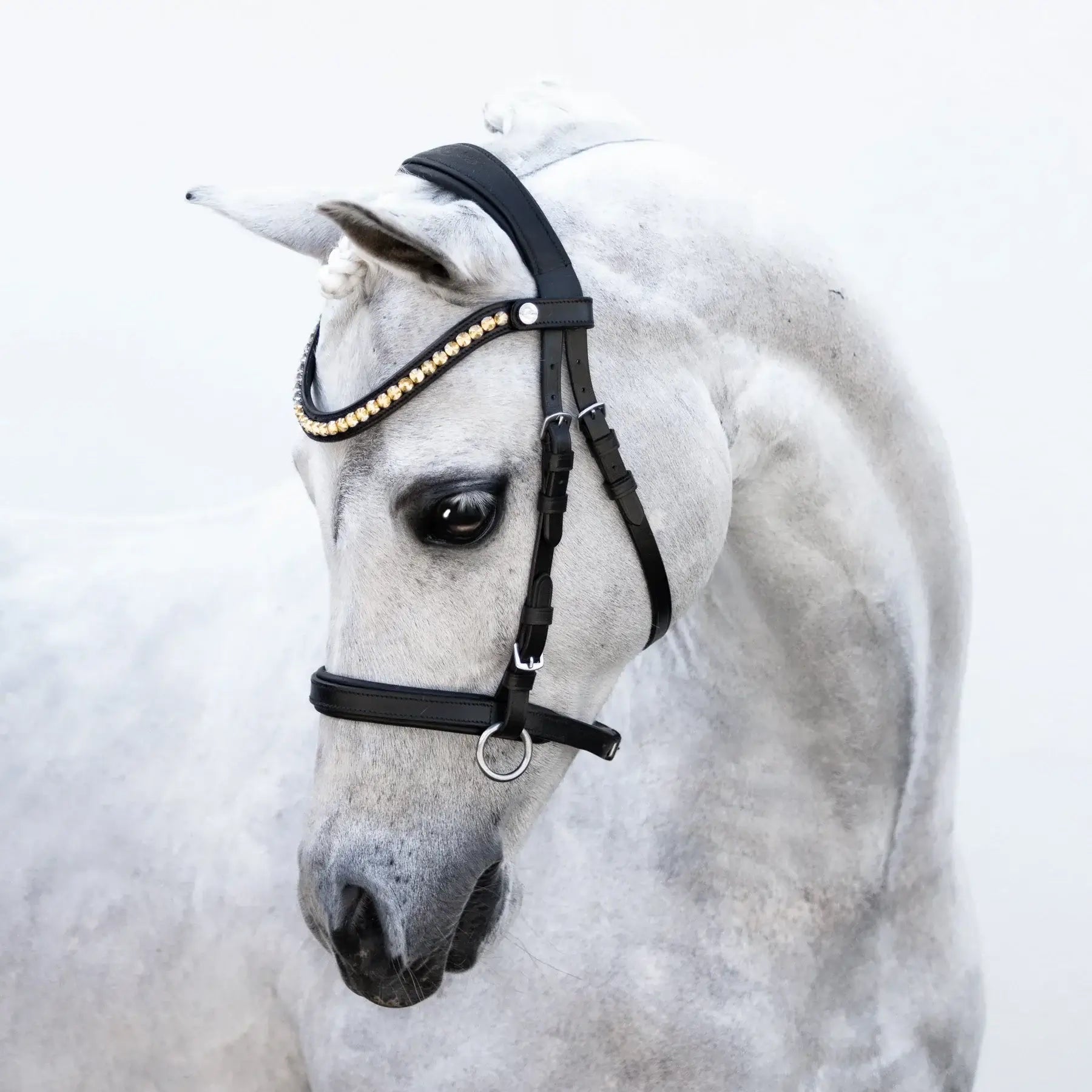 Iddy Biddy Bitless Pony Bridle on a gray pony, showcasing its stylish design and gel-padded headpiece.
