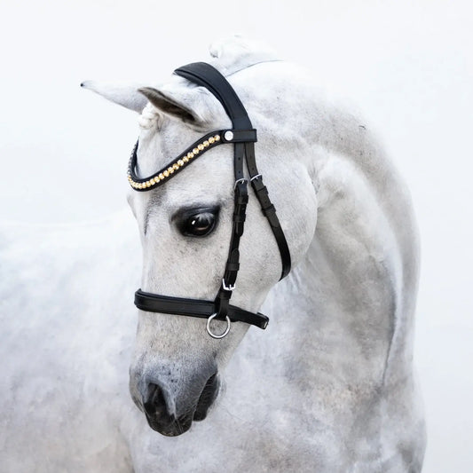 Iddy Biddy Bitless Pony Bridle on a gray pony, showcasing its stylish design and gel-padded headpiece.