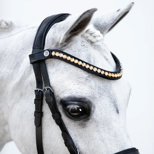 Close-up of a horse wearing the Iddy Biddy Browband with champagne gold crystals on a black leather bridle.