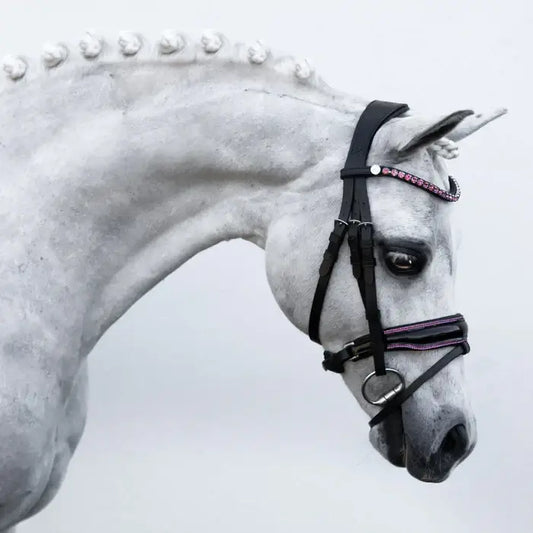 Close-up of a pony model wearing a Fairyfloss pink bridle with patent noseband and crystal browband.