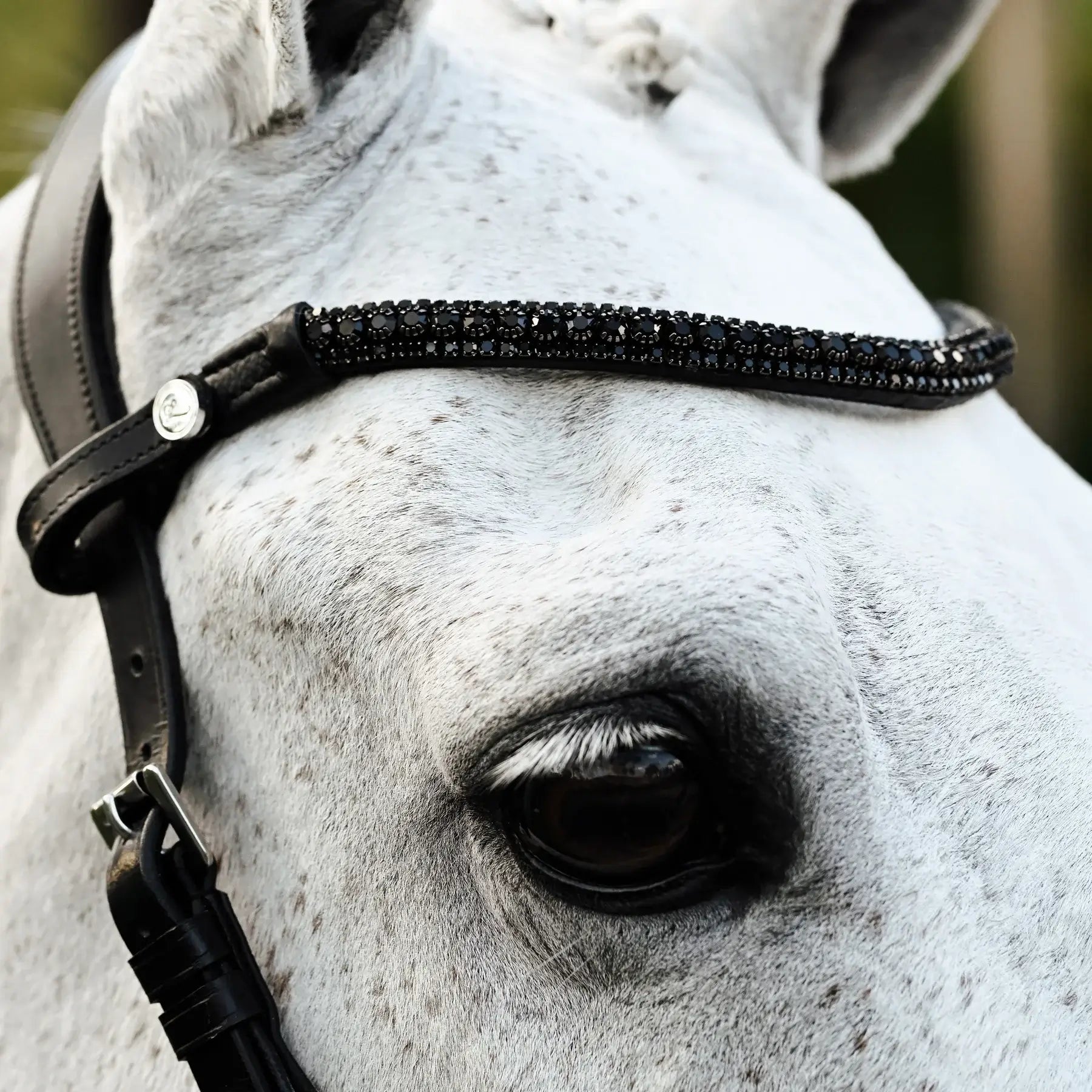 Close-up of a horse's eye with a stylish black crystal browband on a bitless bridle, showcasing luxury and elegance.