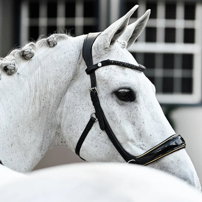 Elegant white horse wearing the Skyla Bitless Bridle with a glossy patent noseband and crystal browband.