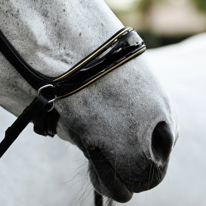 Close-up of horse wearing Skyla bitless bridle with glossy patent leather and gold piping.