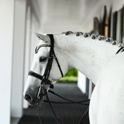 White horse wearing the Saphira double bridle with dark silver piping and crystal browband.