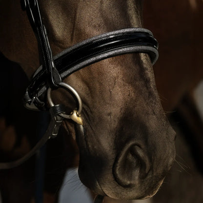 Close-up of a horse wearing the Saphira Cavesson Bridle with sleek black leather and elegant design features.