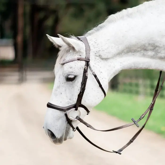 Mila Anatomic Bridle