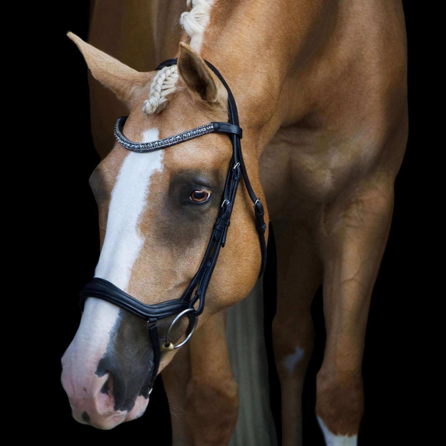 Mila Anatomic Bridle