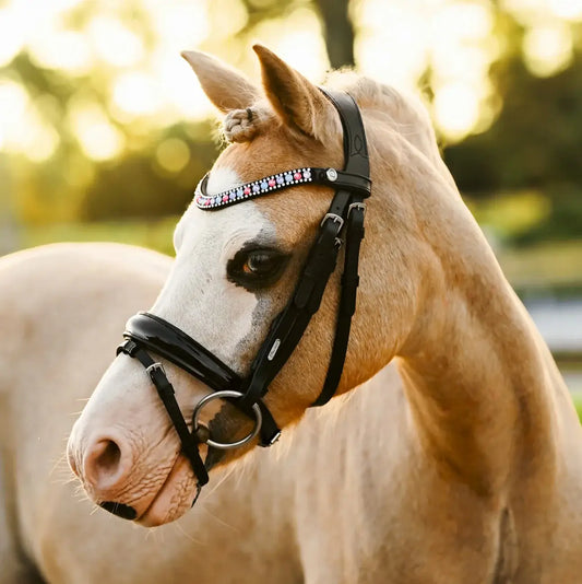 Unicorn Pony Bridle on a palomino horse, featuring a colorful crystal browband and sleek leather construction.