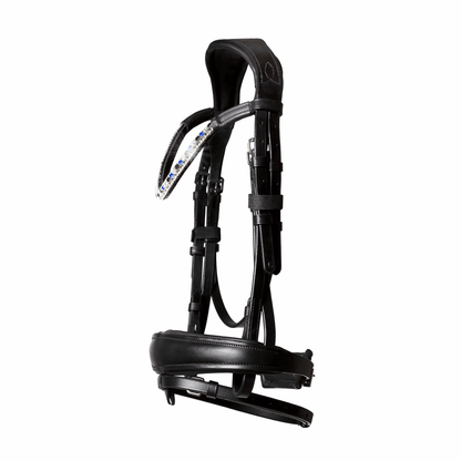 Anastasia Bridle
