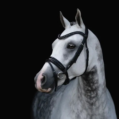 Arcadia Patent Hanovarian Bridle